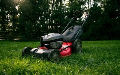 Tips for Summer Lawn Care