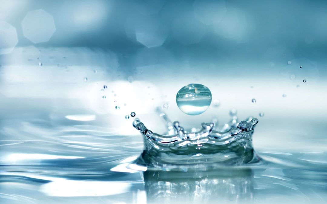 8 Tips To Save Water at Home