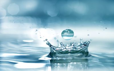 8 Tips To Save Water at Home
