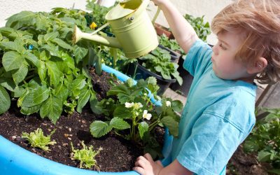 6 Tips for Gardening with Kids